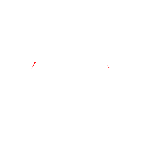 Exclusive Cars